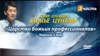 “БОЖЬЕ ЦУНАМИ”  3 часть. Царство Божьих профессионалов