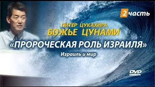 “БОЖЬЕ ЦУНАМИ”  2 часть. Пророческая роль Израиля